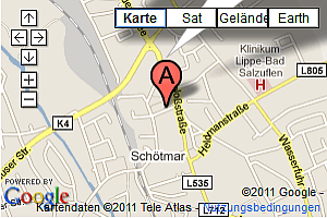 Standort in Google Maps